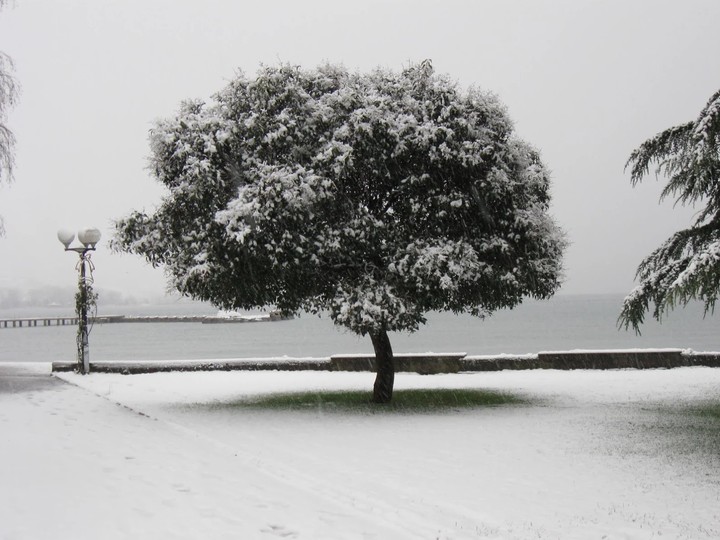 Ohrid