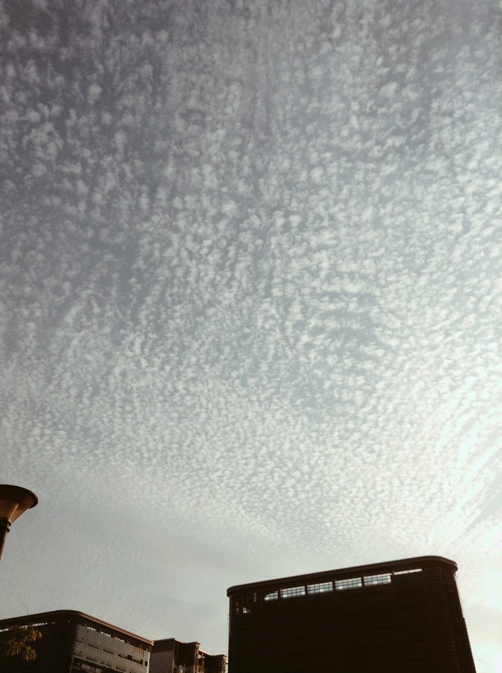 Fleece Cloud and building