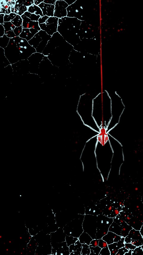 insect, arthropod háttérképek