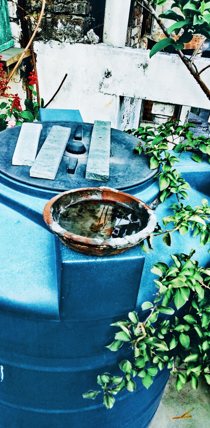 abandoned