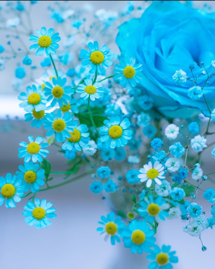 Turquoise