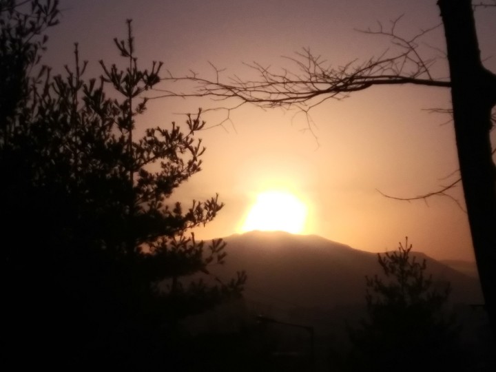 떠오른다