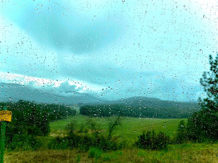 Rain