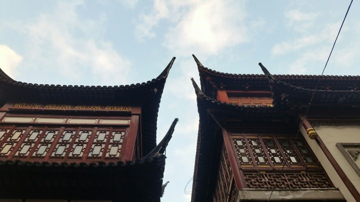 지붕 사이로