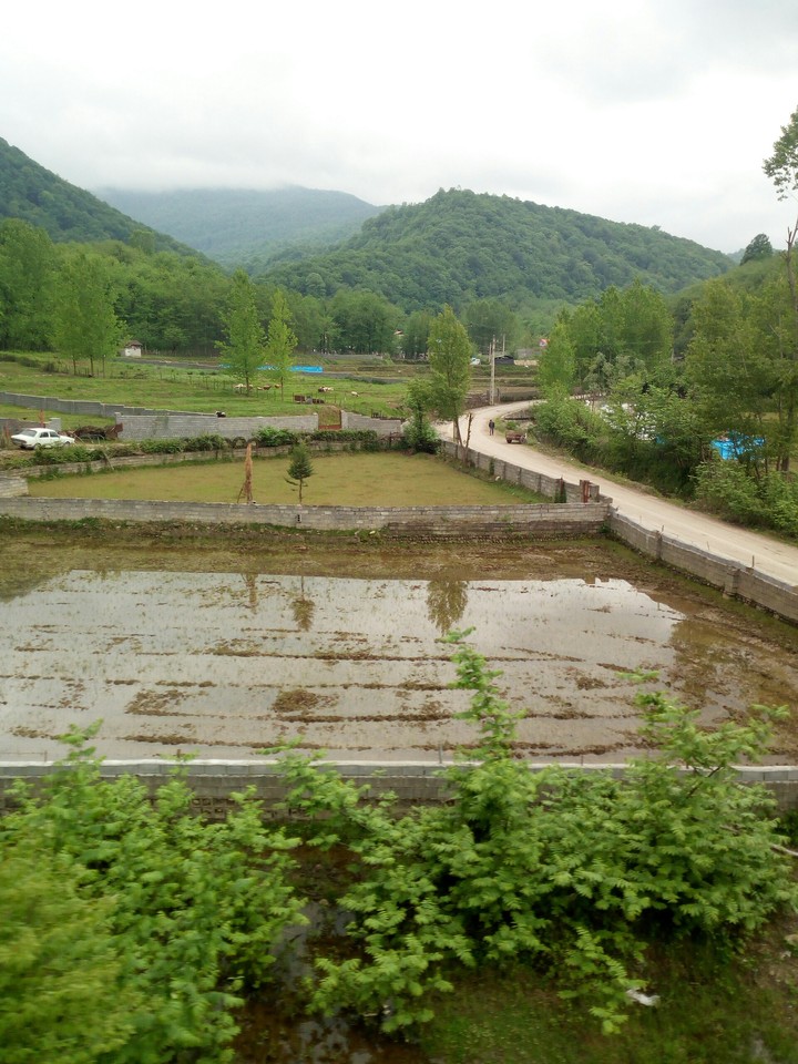 View.shomal