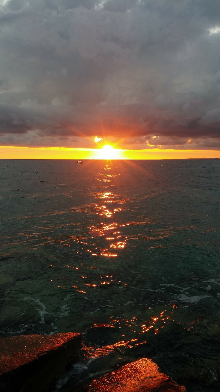 alba