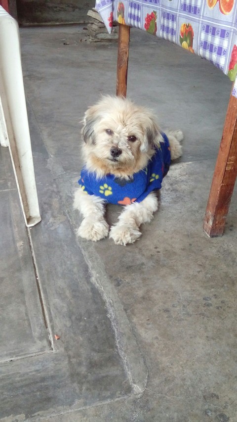Mi Boby ♡