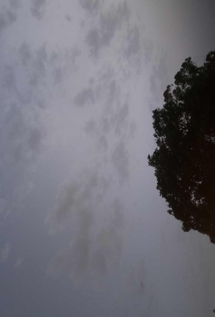 turn weather... 