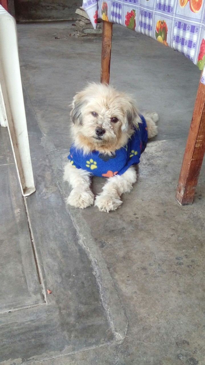 Mi Boby ♡
