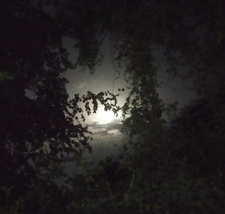 night