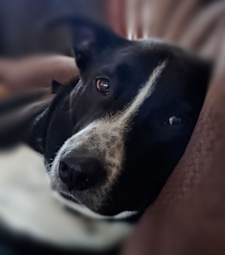 the look