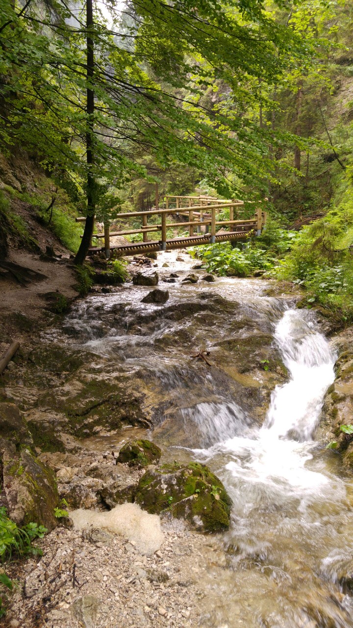 Slovakia nature