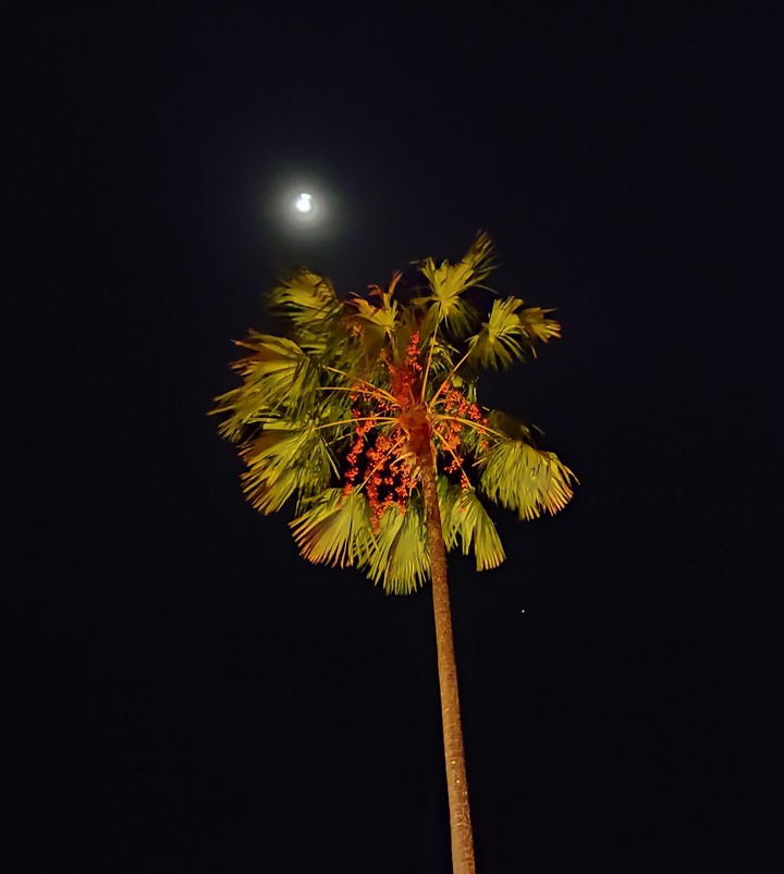 Palm Docas Station - Belém / Pa / Brasil