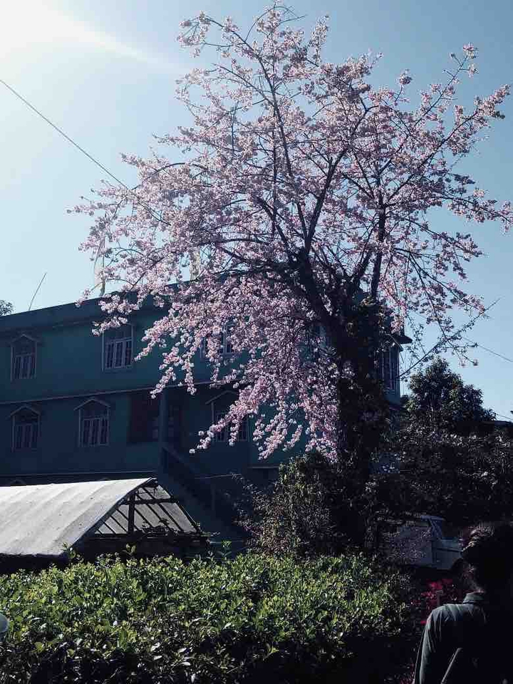 sikkim