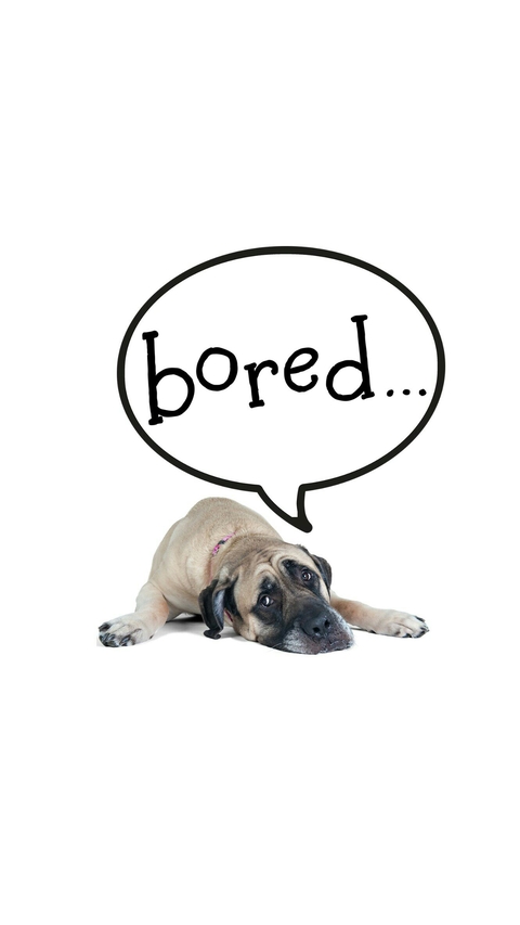 Um bored