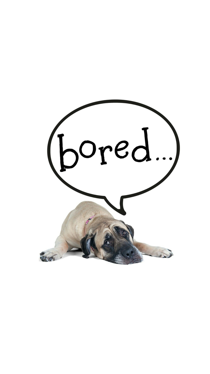 Um bored