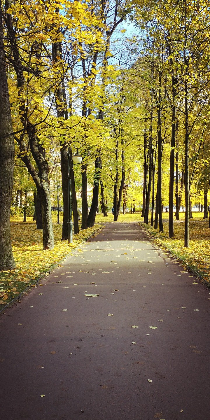 осень