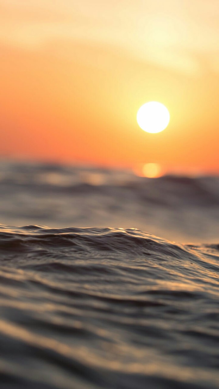 wave