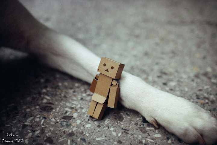 My Friend