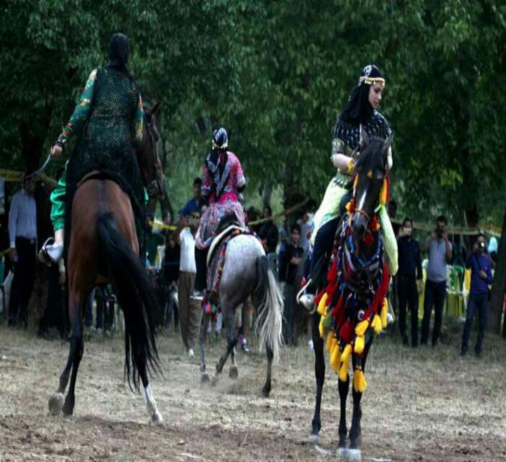 Kurdish horse