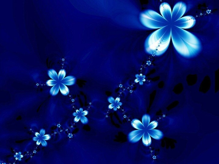 BLUE SHINING FLOWER