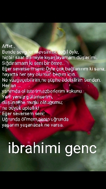 ne buyuk aptallik