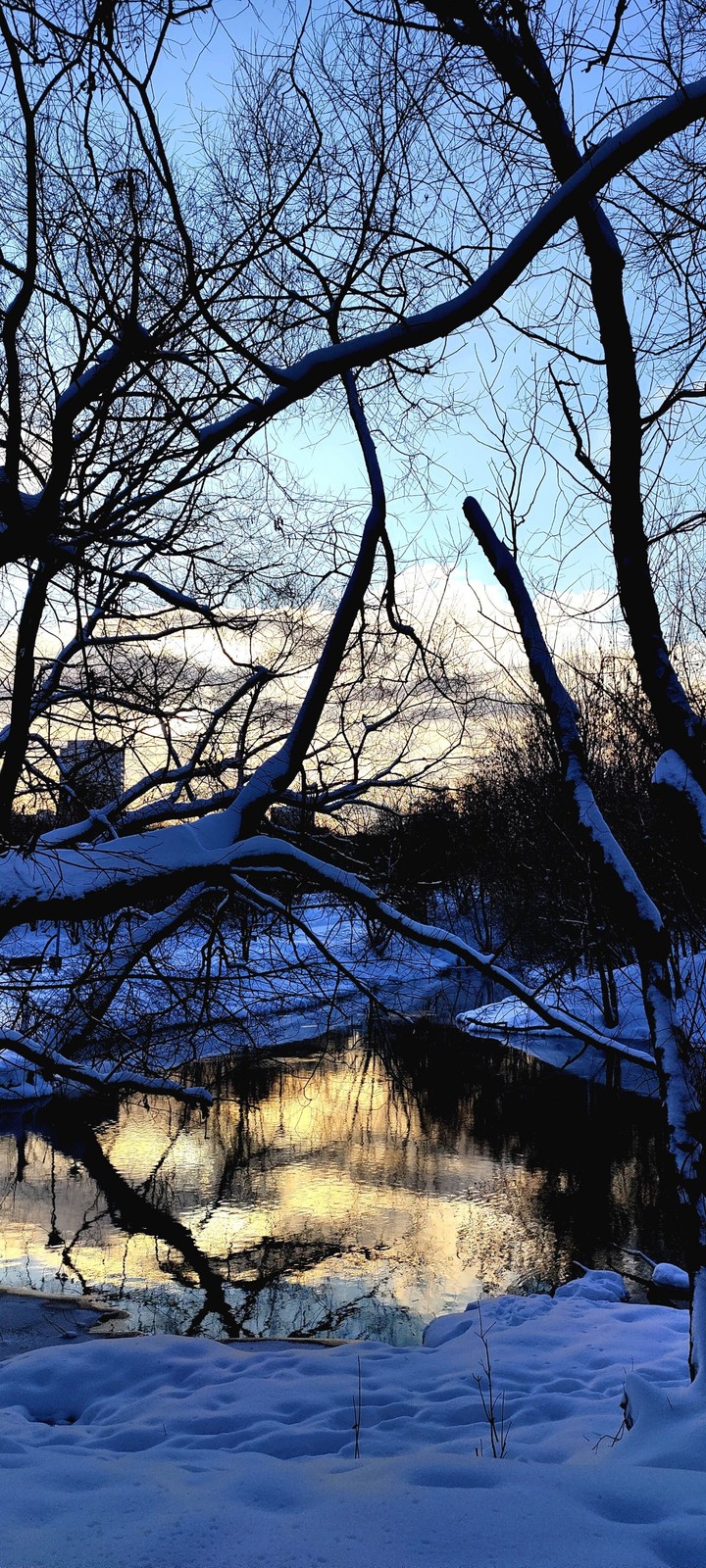 morning in winter park