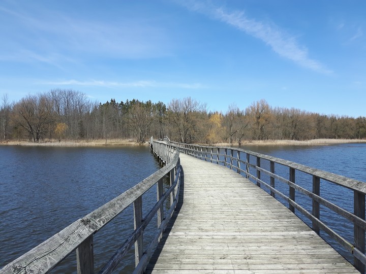 Rickety Bridge