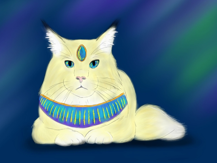 кот