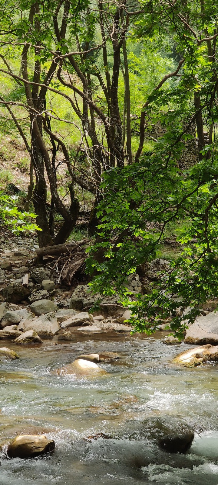 River