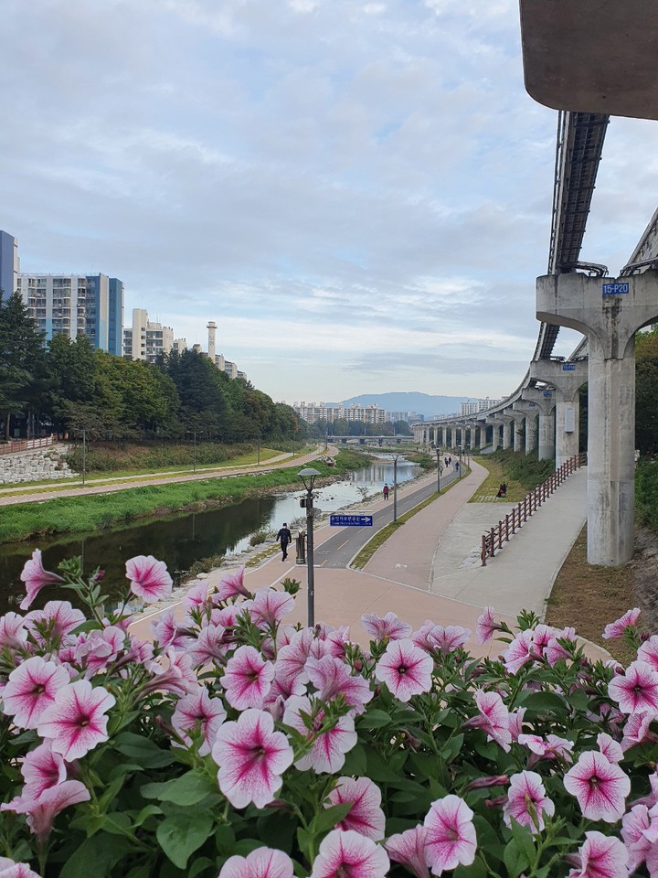 park