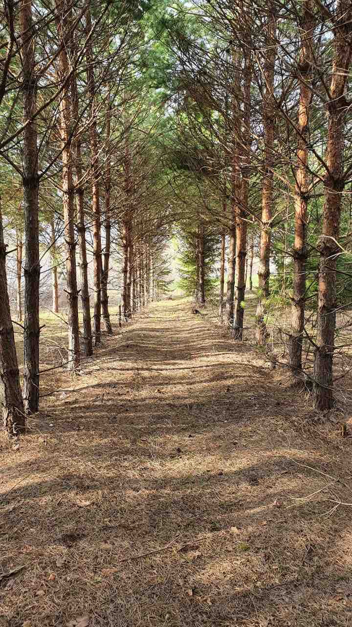 прогулка