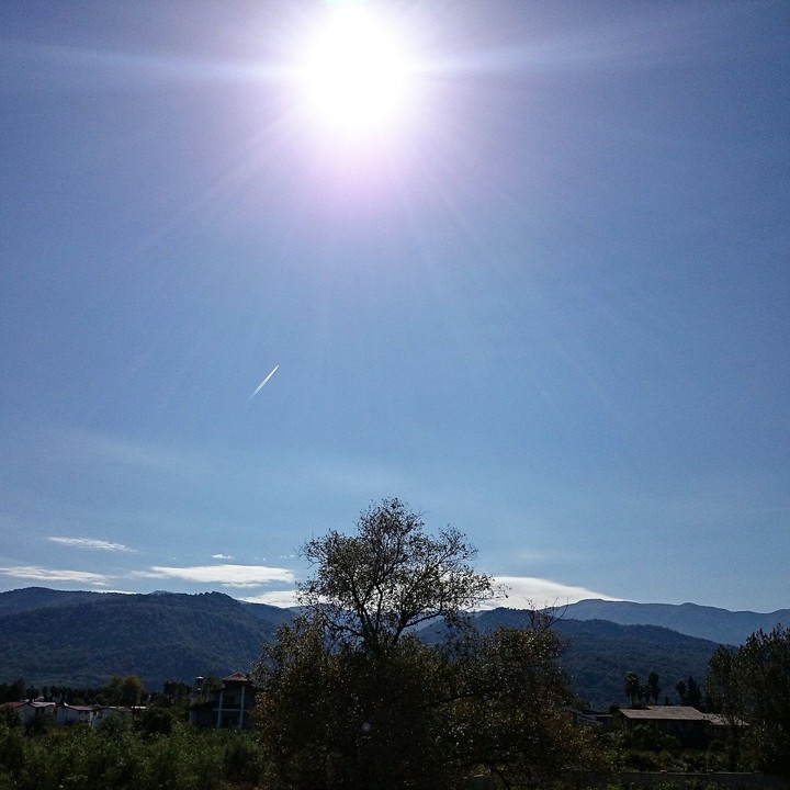 Sunshine