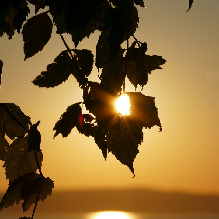 sun