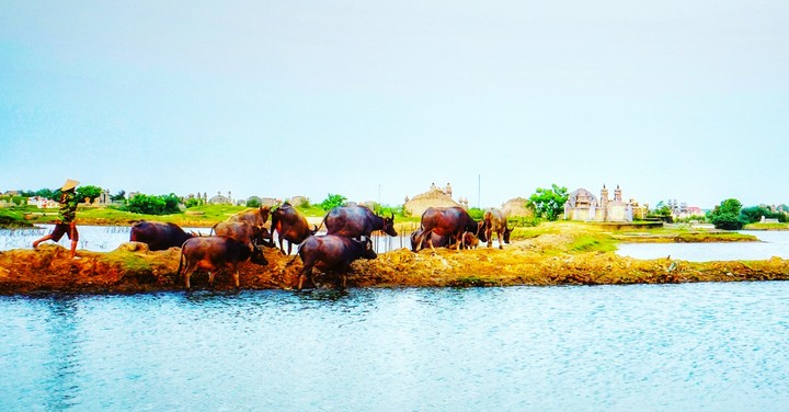 My countryside