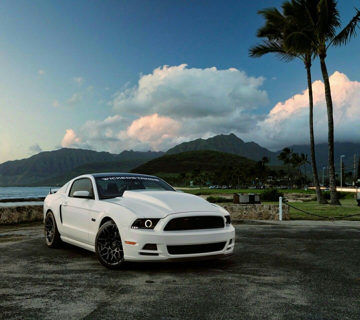Mustang