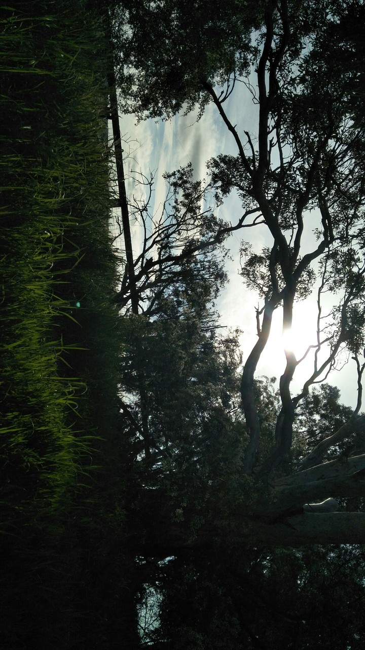 nature in Australia
