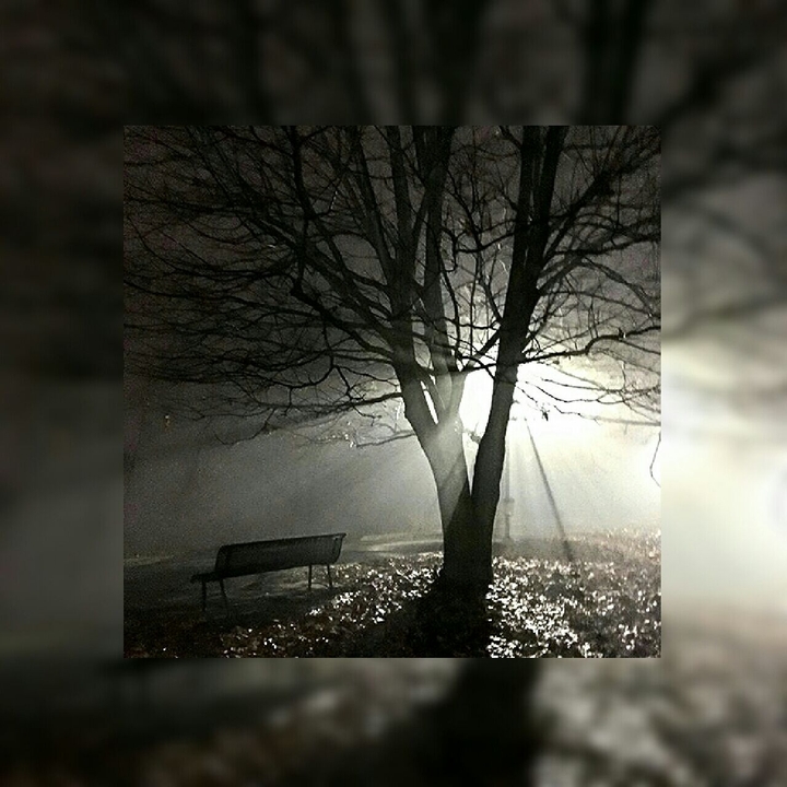 A light.