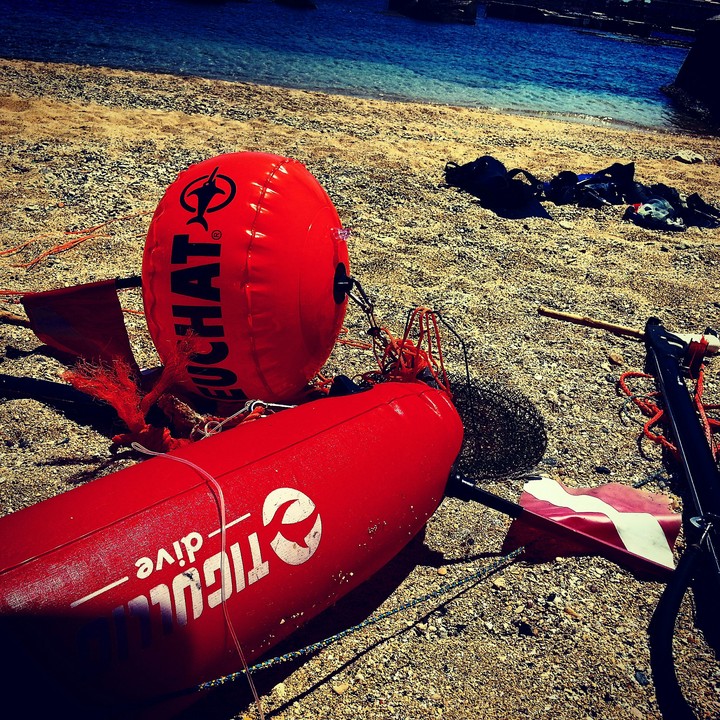spearfishing day