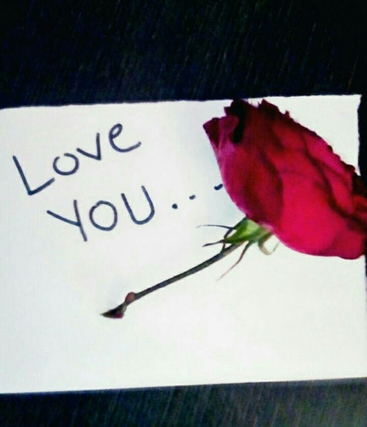 love