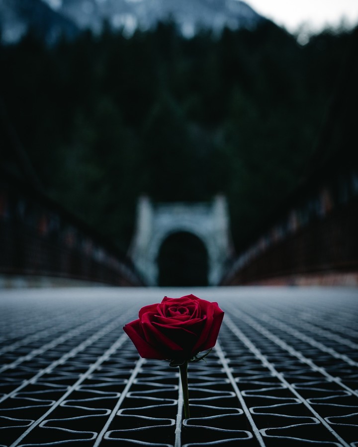❤