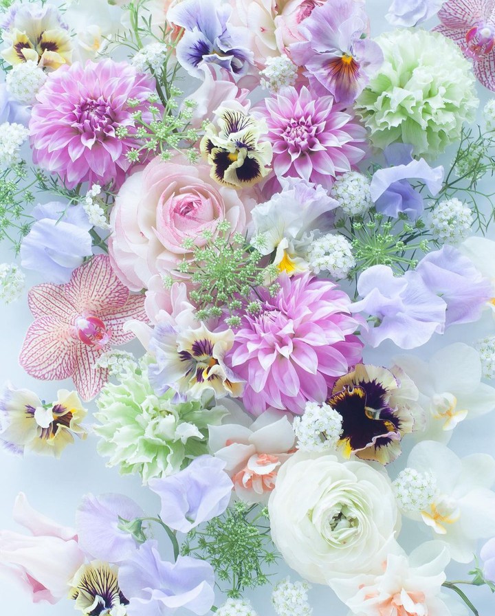 Bouquet