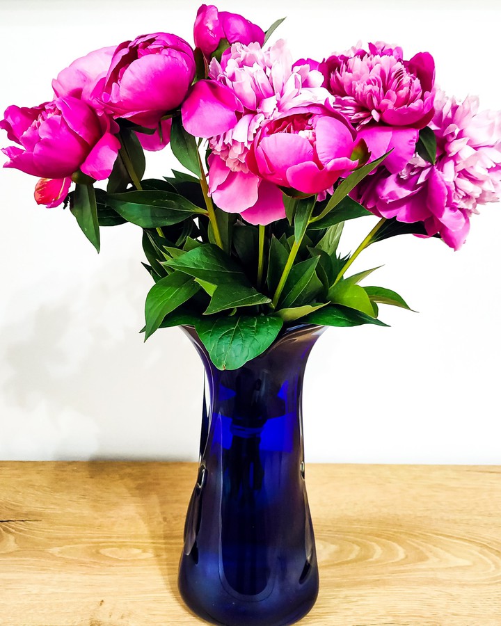 Peonies love