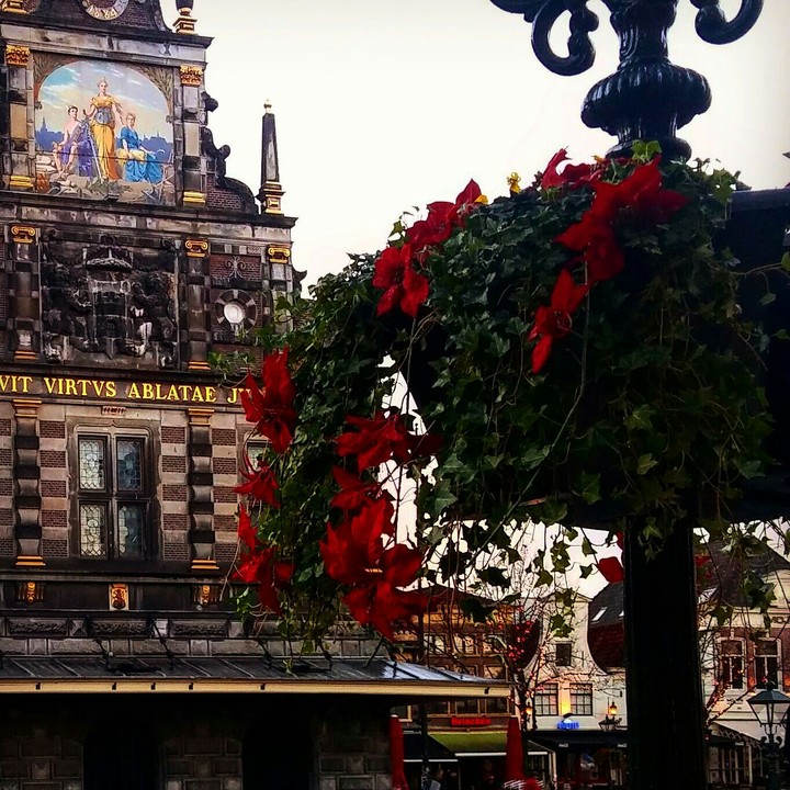 the dutch