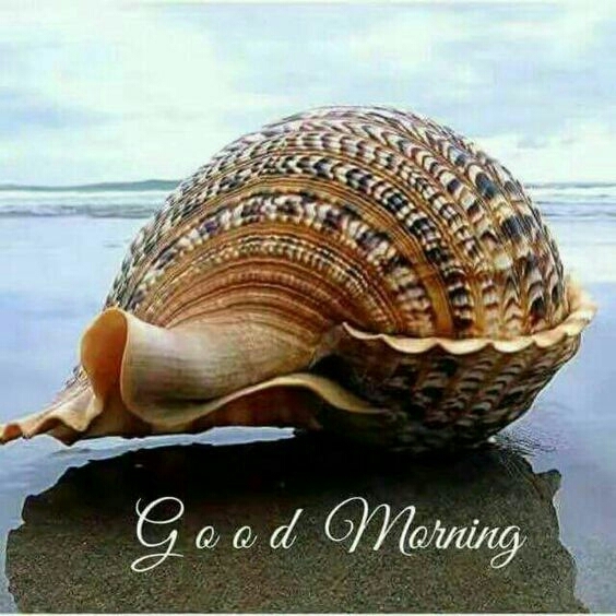 good morning