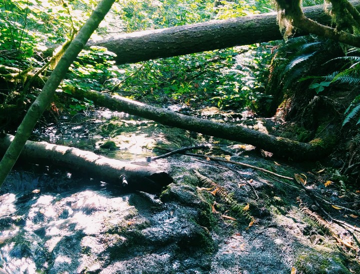 Look deeper, Mima Falls