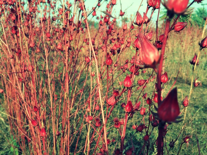 Great nature beauty