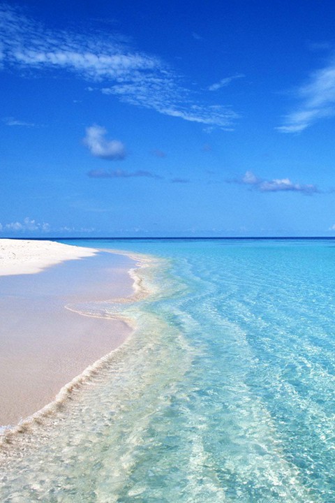 sea