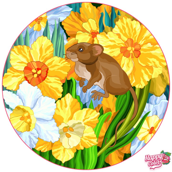 Flores