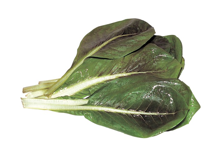 음식